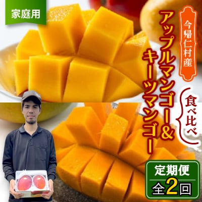 【発送月固定定期便】家庭用マンゴー2種食べ比べ(アップルマンゴー&キーツマンゴー)全2回【配送不可地域：離島】【4074843】