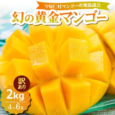 【2026年7月中旬から順次発送・訳あり】今帰仁産の幻の黄金マンゴー2kg(4〜6玉)【配送不可地域：離島】【4014737】