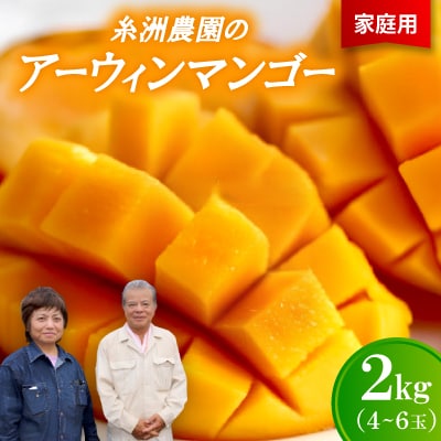 【先行受付・2026年7月から順次発送・家庭用】糸洲農園のアーウィンマンゴー2kg(4〜6玉)【配送不可地域：離島】【1694624】