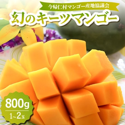 【2026年8月中旬から順次発送】今帰仁産の幻のキーツマンゴー800g(1〜2玉)【配送不可地域：離島】【4014738】