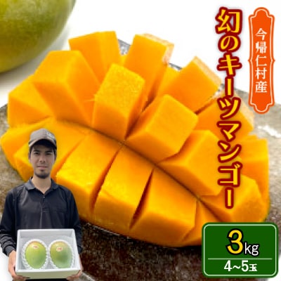 【先行受付・2026年8月から順次発送】仲本マンゴー園の幻のキーツマンゴー3kg(4〜5玉)【配送不可地域：離島】【1572260】