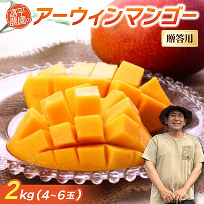 【2027年7月上旬から順次発送・贈答用】富平農園のアーウィンマンゴー2kg(4〜6玉)【配送不可地域：離島】【1726881】