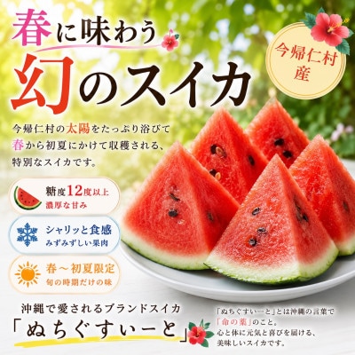 縲2027蟷エ4譛井クュ譌ャ繧医j鬆谺。逋コ騾√第丼縺ォ鬟溘∋繧句ケサ縺ョ繧ケ繧、繧ォ 縺ャ縺。縺舌☆縺繝シ縺ィ 1邇(7.0kg莉・荳)縲1744601縲