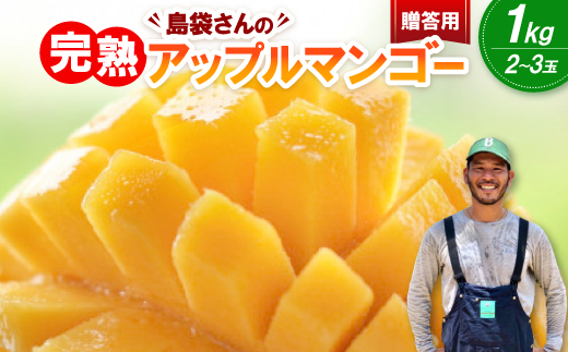 【2026年7月上旬から順次発送・贈答用】島袋さんの完熟アップルマンゴー 1kg(2〜3玉)【配送不可地域：離島】【1726283】