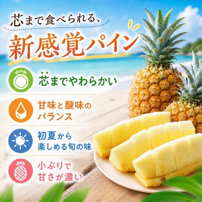【2026年5月中旬から順次発送】今帰仁村パイン産地協議会 ポコットパイン2.4kg(3〜5玉)【配送不可地域：離島】【1734538】