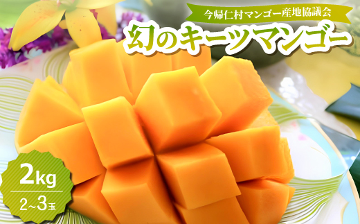 【2026年8月中旬から順次発送】今帰仁産の幻のキーツマンゴー2kg(2〜3玉)【配送不可地域：離島】【4014740】