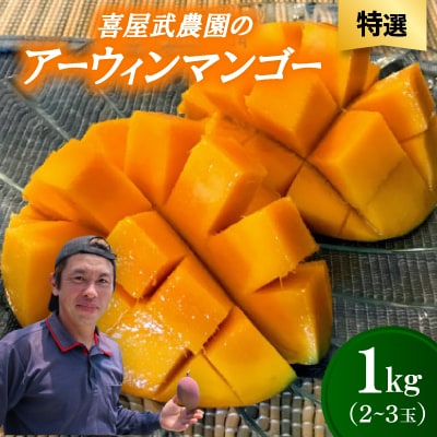 【先行受付・2026年6月から順次発送・特選】喜屋武農園のアーウィンマンゴー1kg(2〜3玉)【配送不可地域：離島】【1694605】