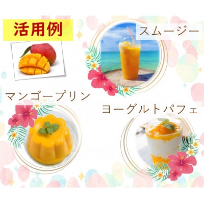 マンゴージュース2本セット(今帰仁産マンゴー使用)【1476818】