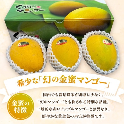 【2026年7月中旬から順次発送】今帰仁産の幻の黄金マンゴー1kg(2〜3玉)【配送不可地域：離島】【4014734】