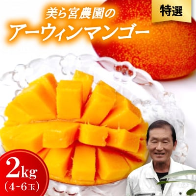 【2026年7月から順次発送・特選】美ら宮農園のアーウィンマンゴー2kg(4〜6玉)【配送不可地域：離島】【1695314】