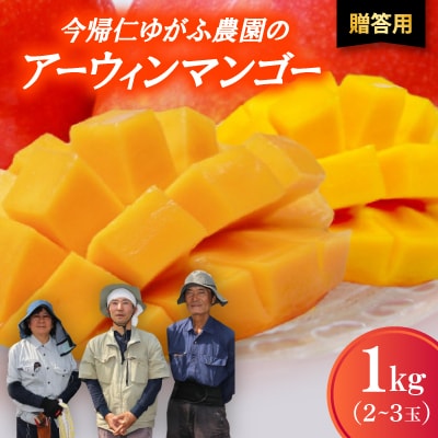 【2026年7月から順次発送・贈答用】今帰仁ゆがふ農園のアーウィンマンゴー1kg(2〜3玉)【配送不可地域：離島】【1694711】