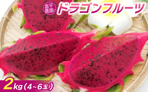 【2026年7月下旬から順次発送】富平農園のドラゴンフルーツ2kg(4〜6玉)【1726882】