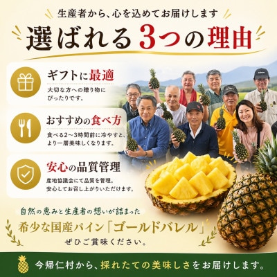 【2026年6月下旬から順次発送】今帰仁村パイン産地協議会 ゴールドバレル3.6kg(2〜3玉)【配送不可地域：離島】【1734540】