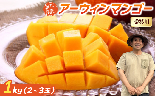 【2026年7月から順次発送・贈答用】富平農園のアーウィンマンゴー1kg(2〜3玉)【配送不可地域：離島】【1726880】