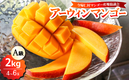 【2026年6月下旬から順次発送】今帰仁産のA級アップルマンゴー2kg(4〜6玉)【配送不可地域：離島】【4014731】