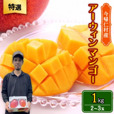 【2026年6月から順次発送・特選】仲本マンゴー園のアーウィンマンゴー1kg(2〜3玉)【配送不可地域：離島】【1439428】