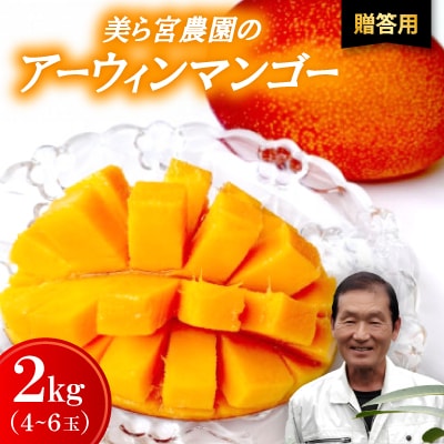 【2026年7月から順次発送・贈答用】美ら宮農園のアーウィンマンゴー2kg(4〜6玉)【配送不可地域：離島】【1695311】