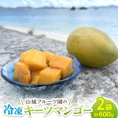 今帰仁産 山城フルーツ園の冷凍キーツマンゴー 600g(300g×2パック)【配送不可地域：離島】【1662750】