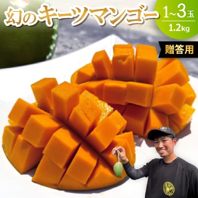 【2026年8月下旬から順次発送・贈答用】みなとばる農園の幻のキーツマンゴー1.2kg(1〜3玉)【配送不可地域：離島】【1699963】