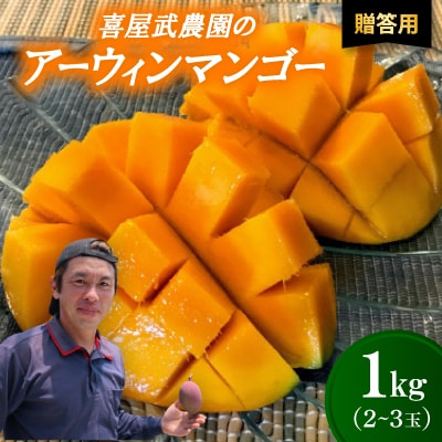 【先行受付・2026年6月から順次発送・贈答用】喜屋武農園のアーウィンマンゴー1kg(2〜3玉)【配送不可地域：離島】【1694604】