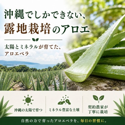 【有機JAS認証】琉球アロエパウチ 葉肉無し 1000ml×6袋【1737198】