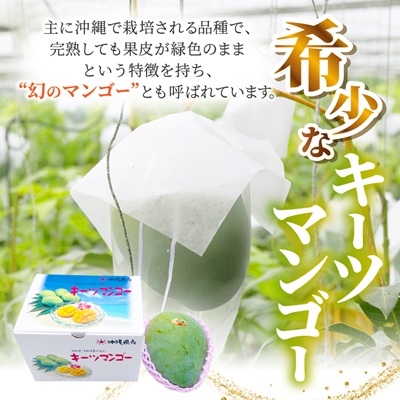 【2026年8月中旬から順次発送・訳あり】今帰仁産の幻のキーツマンゴー1kg(1〜2玉)【配送不可地域：離島】【4014741】