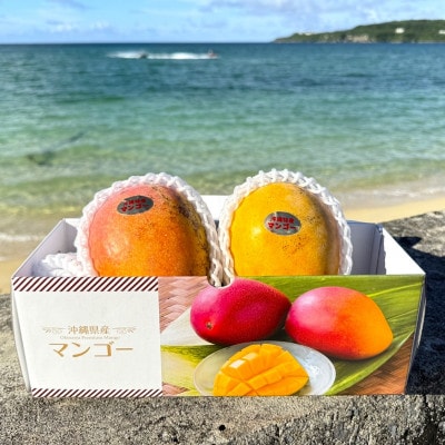 【2026年7月から順次発送・数量限定】仲本マンゴー園の希少品種の夏小紅1kg(2〜3玉)【配送不可地域：離島】【1664978】