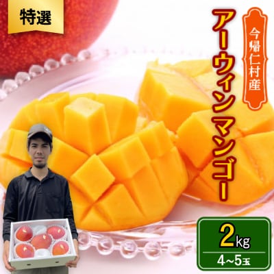 【2026年6月から順次発送・特選】仲本マンゴー園のアーウィンマンゴー2kg(4〜5玉)【配送不可地域：離島】【1439441】