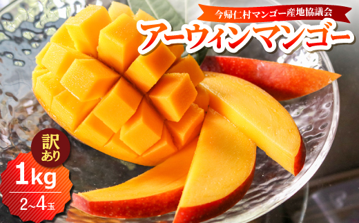 【2026年6月下旬から順次発送・訳あり】今帰仁産のアップルマンゴー1kg(2〜4玉)【配送不可地域：離島】【4014742】