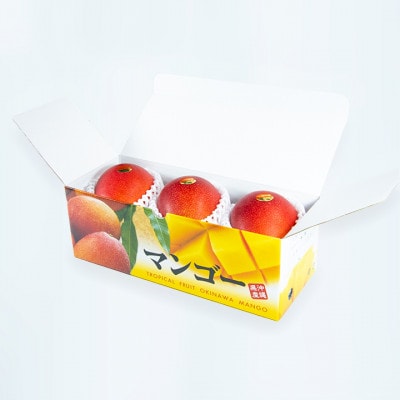 【先行受付・2026年6月から順次発送】山城フルーツ園のアーウィンマンゴー秀品1kg【配送不可地域：離島】【1439542】