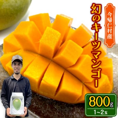 【先行受付・2026年8月から順次発送】仲本マンゴー園の幻のキーツマンゴー800g(1〜2玉)【配送不可地域：離島】【1418218】