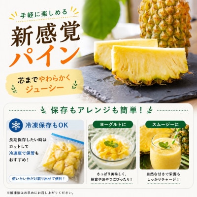 【2026年5月中旬から順次発送】今帰仁村パイン産地協議会 ポコットパイン2.4kg(3〜5玉)【配送不可地域：離島】【1734538】