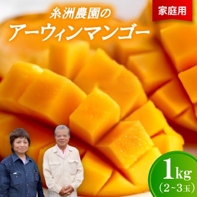 【先行受付・2026年7月から順次発送・家庭用】糸洲農園のアーウィンマンゴー1kg(2〜3玉)【配送不可地域：離島】【1694623】