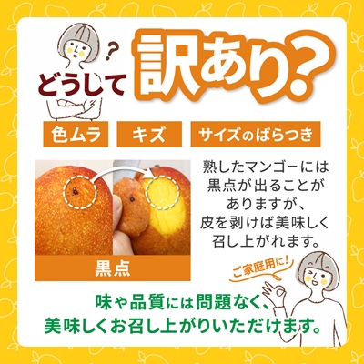 【2026年6月下旬から順次発送・訳あり】今帰仁産のアップルマンゴー1kg(2〜4玉)【配送不可地域：離島】【4014742】