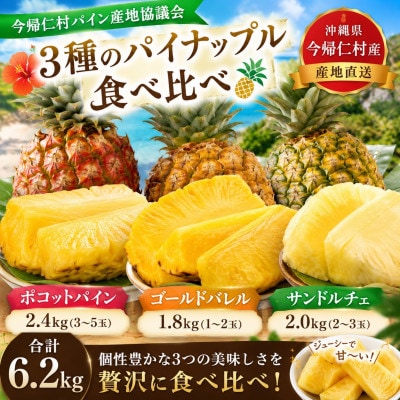 【発送月固定定期便】今帰仁村パイン産地協議会 3種のパイナップルの食べ比べ全3回【配送不可地域：離島】【4086626】