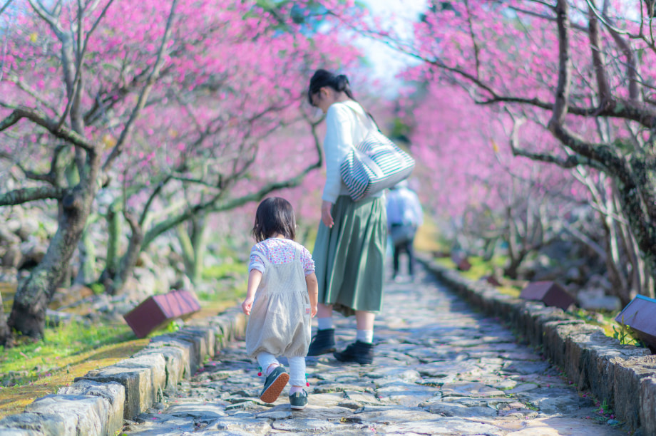 今帰仁村給付型奨学金　子どもの育成にあたり、特に今帰仁村給付型奨学金に使ってほしい方はこちらを選択してください。