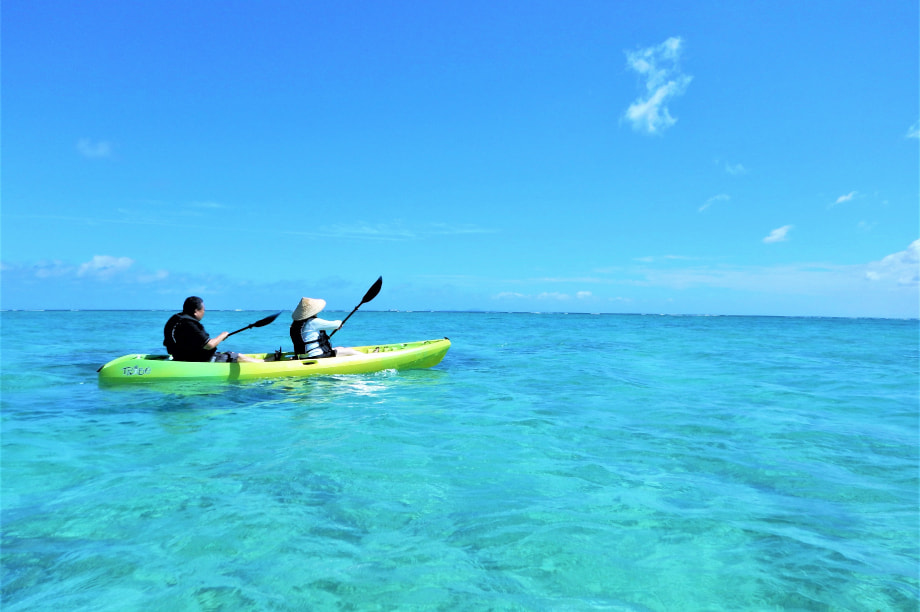 健康で安らぎのある福祉のむらづくり及び村民主体のむらづくりに関する事業