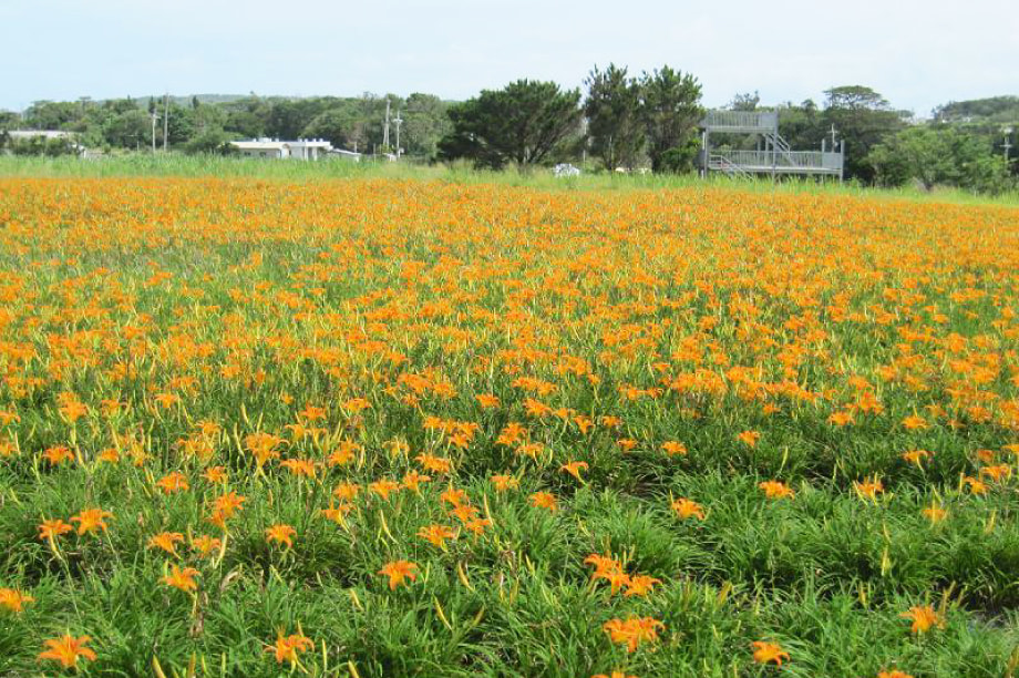 その他目的達成のために村長が必要と認める事業