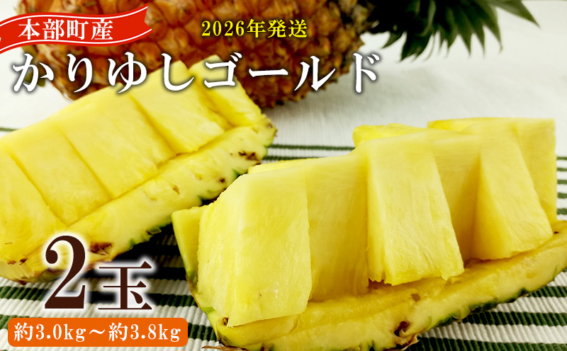 【2026年発送】先行予約 かりゆしゴールド 2玉（約3.0kg～3.8kg） パイナップル ゴールドバレル 甘い ジューシー デザート 高級 フルーツ 家族 子供 果物 取り寄せ 旬 おすすめ ギフト 人気 家庭用 贈答用 母の日 スナックパイン 期間限定 沖縄