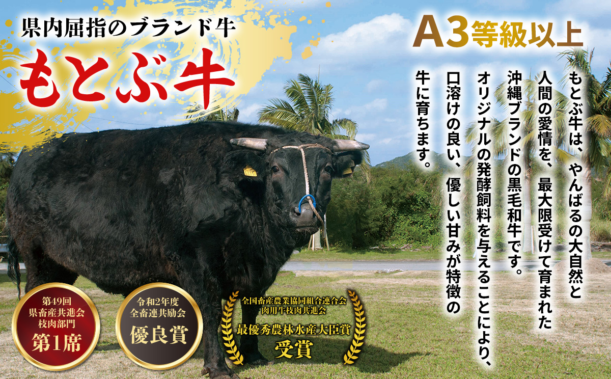 もとぶ牛カルビ焼肉（ギフト用）500ｇ 県産和牛 黒毛和牛 国産 牛肉 牛 ブランド 和牛 人気 オススメ おすすめ グルメ 贅沢 高級 4等級以上 お取り寄せ 贈答用 美ら海 冷凍 沖縄 本部町