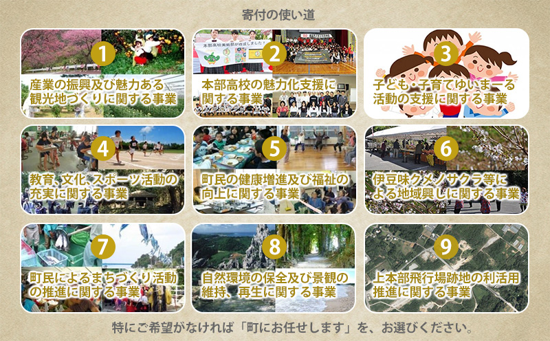 【返礼品なし】沖縄県本部町ふるさと応援寄附金 1000円 寄附のみの応援 寄附のみ 返礼品なし 返礼品無し　御礼品なし　御礼品無し