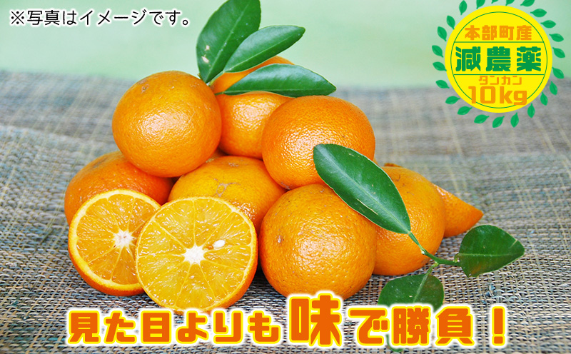 ã2026幎çºéãååœã®ã¿ããïŒæ¬éšçºç£ã¿ã³ã«ã³ïŒçŽ10kgå
¥ãïŒ ã¿ãã ææ© æ²çž ãããªã æå® ãã«ãŒã éæ æééå® å
è¡äºçŽ æ°ééå® æ¬ äººæ° ãããã èŽç ãã¬ãŒã³ã ã®ãã èŽãç© åäŸ ãã¶ãŒã åãå¯ã