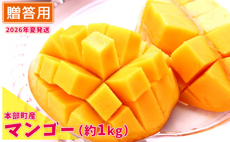 【2026年夏発送】もとぶ町産マンゴー（贈答用）約1kg詰め おすすめ 人気 冷蔵 夏 スイーツ くだもの 沖縄 おきなわ 青果 デザート 南国 プレゼント お土産 おみやげ ギフト フルーツ 果物 期間限定 数量限定 先行予約
