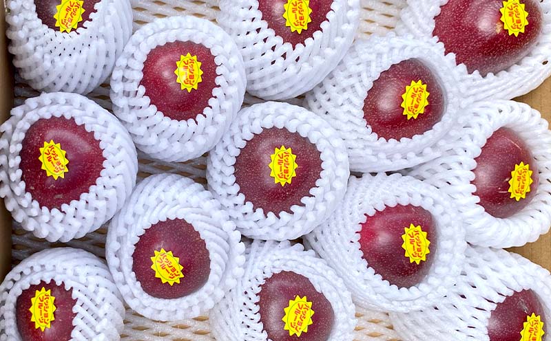 ã2026幎çºéãããšã¶çºç£ããã·ã§ã³ãã«ãŒããå®¶åºçš(çŽ1.5kg) ãããªã ååœ æç© éæ ãããã äººæ° èŽç ãã¬ãŒã³ã ã®ãã å£ç¯ çŸå³ãã ãããã æééå® æ°ééå® æ¬éšçº æ²çž æ²çžç ãµãããšçŽçš ãã«ãŒã 梱å