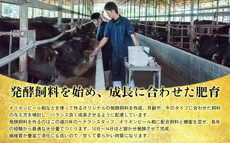 【定期便3回】もとぶ牛カルビ焼肉（ギフト用）500ｇ 県産和牛 黒毛和牛 国産 牛肉 牛 ブランド 和牛 人気 オススメ おすすめ グルメ 贅沢 高級 4等級以上 お取り寄せ 贈答用 美ら海 定期便 沖縄 本部町