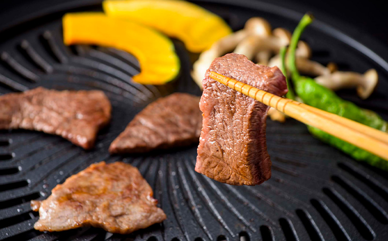 もとぶ牛クラシタ（肩ロース）焼肉(自宅用)500g 県産和牛 黒毛和牛 国産 牛肉 牛 ブランド 和牛 人気 オススメ おすすめ グルメ 贅沢 高級 3等級以上 お取り寄せ 贈答用 美ら海 冷凍 沖縄 本部町