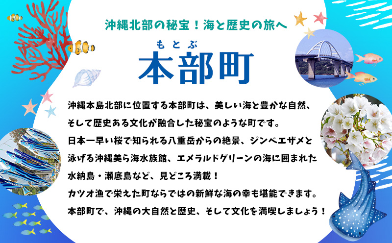 HISふるさと納税クーポン（沖縄県本部町）1万5千円分 観光 宿泊 宿泊券 トラベル 旅行 クーポン ホテル リゾート 旅館 ファミリー ペア ダイビング 沖縄 本部町 ビーチ やんばる オリオン ゴルフ 美ら海 水族館