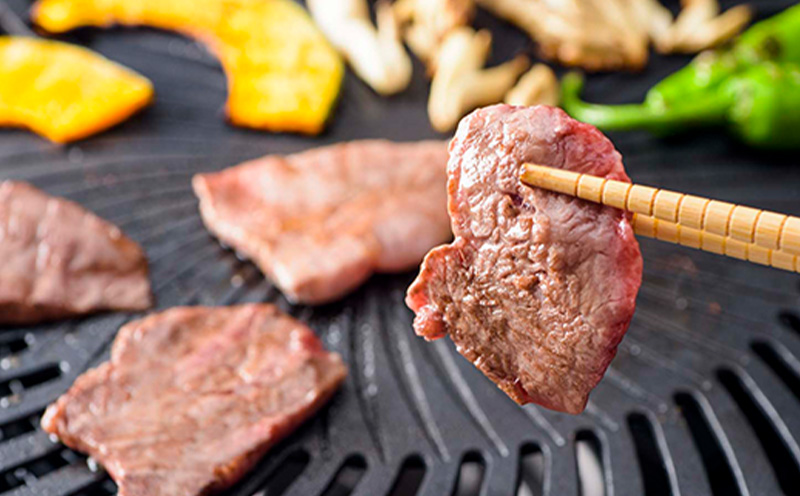 もとぶ牛モモ焼肉(自宅用)500g 県産和牛 黒毛和牛 国産 牛肉 牛 ブランド 和牛 人気 オススメ おすすめ グルメ 贅沢 高級 3等級以上 お取り寄せ 贈答用 美ら海 冷凍 沖縄 本部町