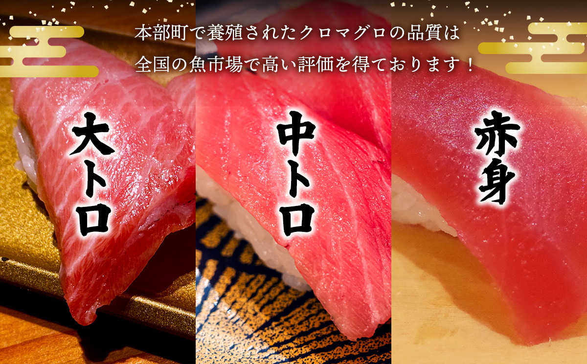 æ¬éšçºç£ãæ¬ãã°ãã¥ããïŒå€§ããã»äžããã»èµ€èº«ïŒçŽ800gïœ1000g 鮪 æ¬ãã°ã éæç¡æ ã®ãã ã°ã«ã¡ ãç¥ã èŽçå ãã¬ãŒã³ã åç£ ãåãå¯ã æµ å€§ãã äžãã äžãã 赀身 åºèº« ããã¿ æµ·é®® æµ·ç£ç© çŸãæµ·