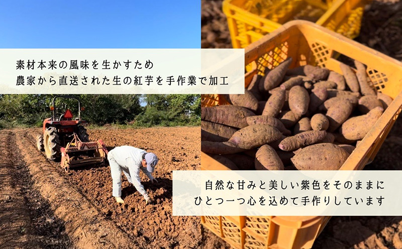 濃厚紅芋アイスバー デザート おやつ アイスクリーム お菓子 芋 おすすめ 人気 こども 家族 子供 プレゼント ギフト 紅芋 贈答 贈り物 沖縄 沖縄県 本部町 美ら海 フクギ並木